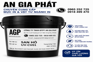 San Hô CV01
